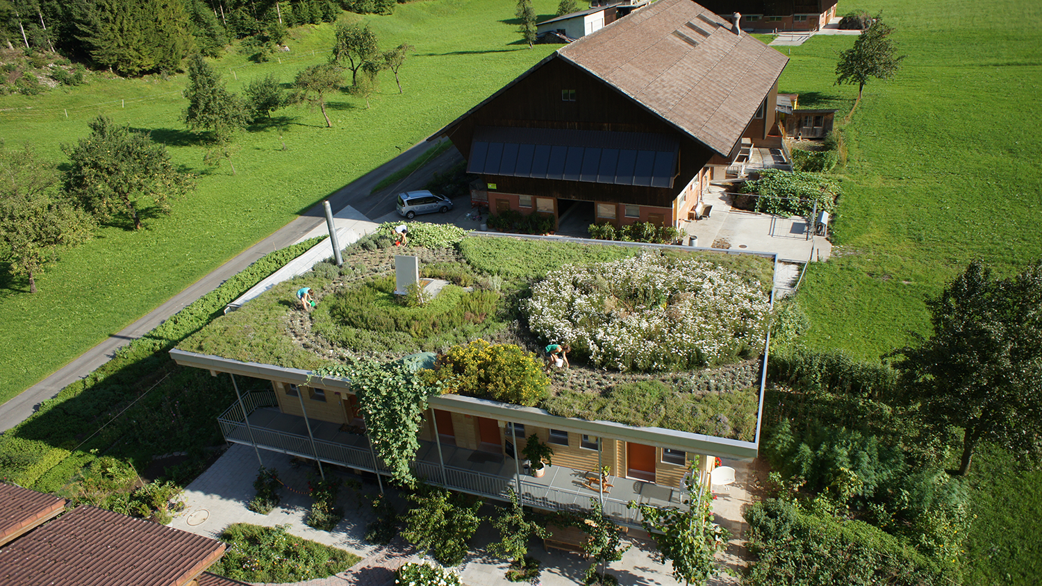 Programm Program