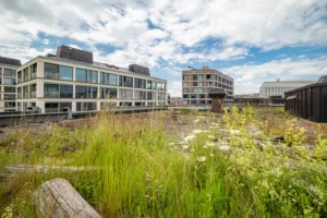 Grüne Gebäude-Woche Zürich